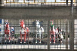  MG 0303 4 5