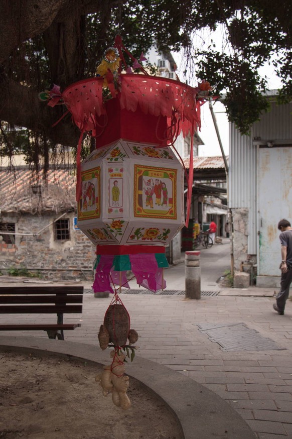  MG 8011
